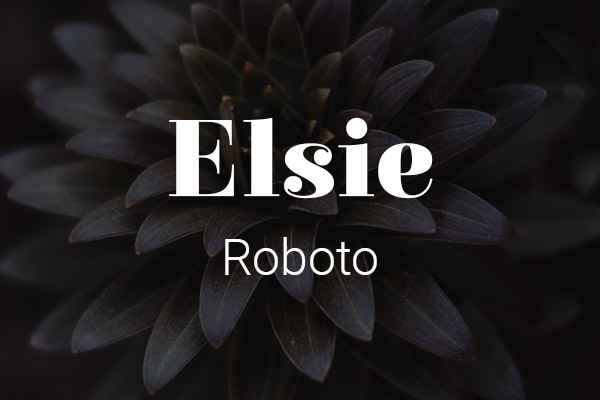 Schriftpaare für Website und Social Media: Elsie und Roboto.