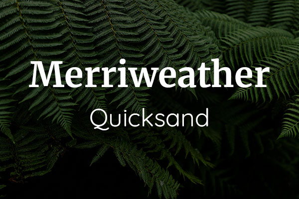 Schriftpaare für Website und Social Media: Merriweather und Quicksand.