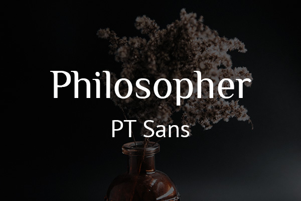 Schriftpaare für Website und Social Media: Philosopher und PT Sans.