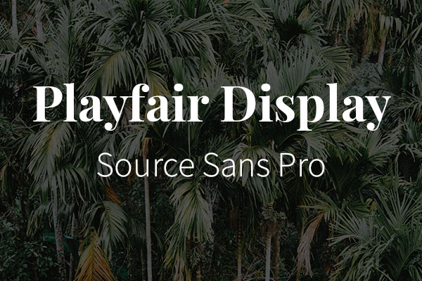 Schriftpaare für Website und Social Media: Playfair Display und Source Sans Pro.