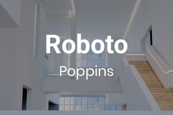 Schriftpaare für Website und Social Media: Roboto und Poppins.