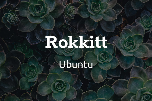 Schriftpaare für Website und Social Media: Rokkitt und Ubuntu.